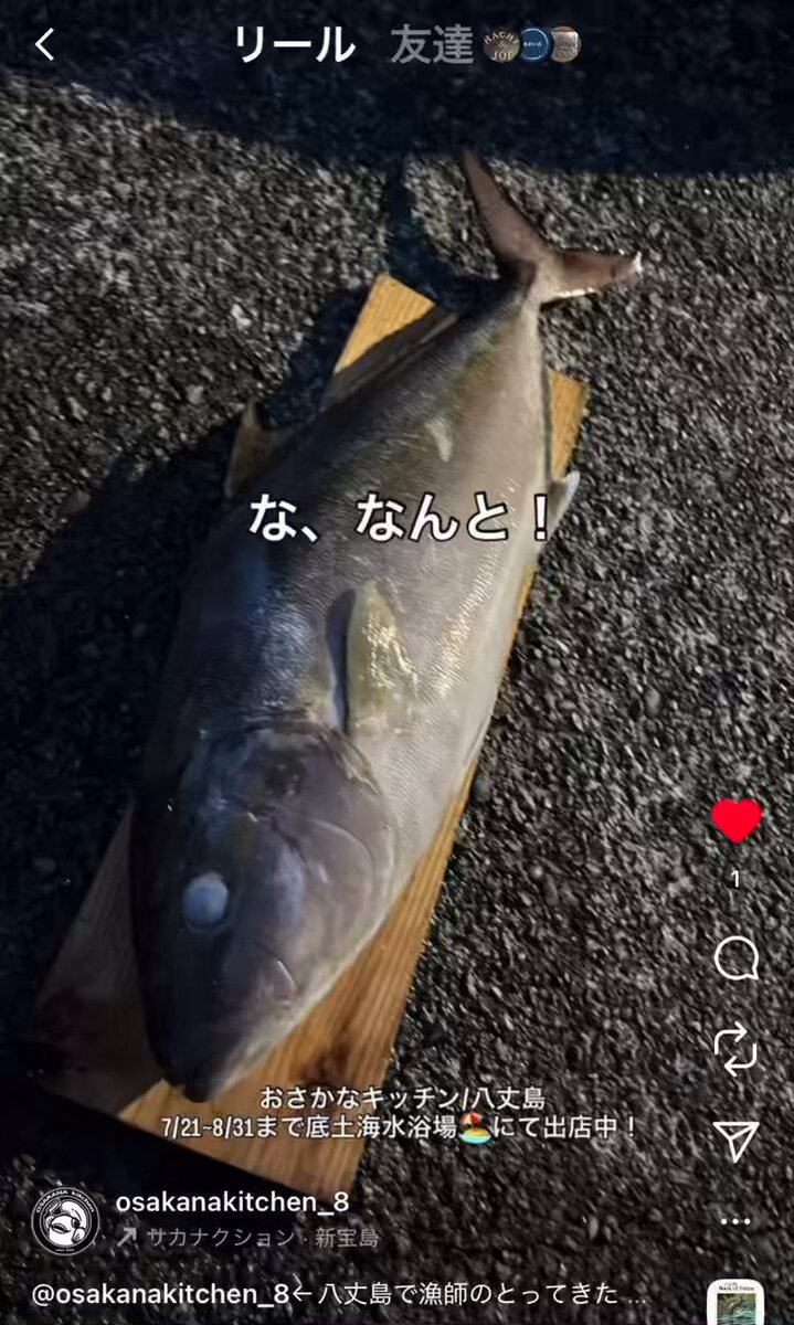 おさかなキッチン / 八丈島 on X: 