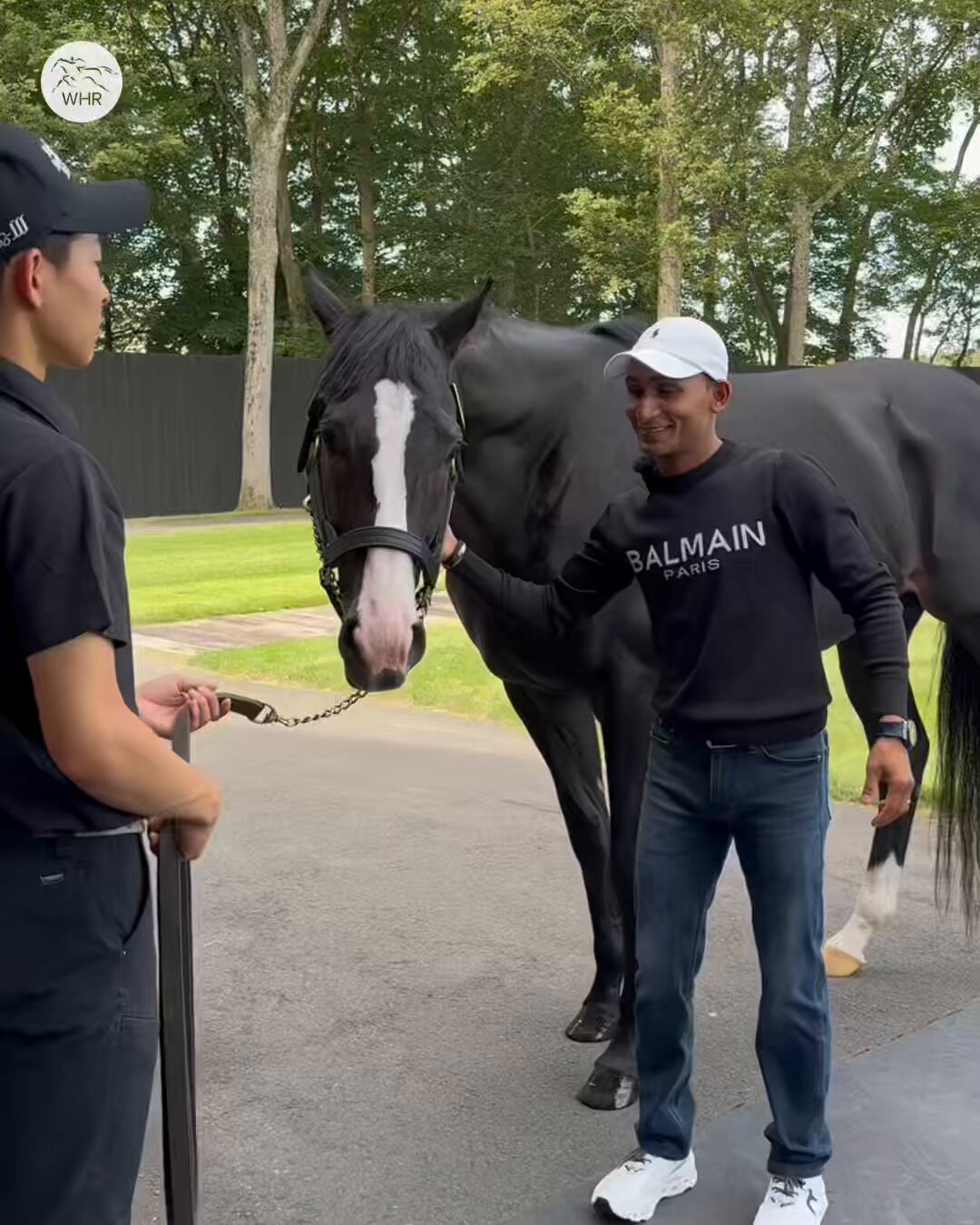 HORSE.22 　ジン　ウォッカ12本 Viper Z – Dutch Sport Horse Sales
