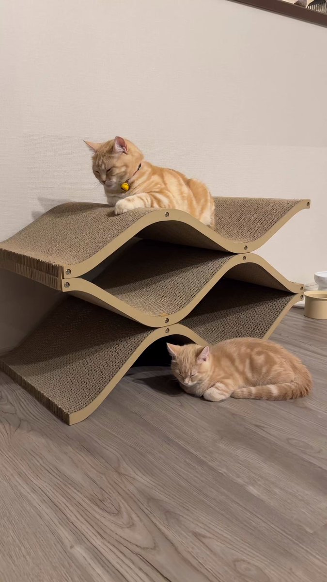 ＊Cat Cellar mini (キャットセラー)　デザイナーズ　猫爪とぎ＊ おしゃれなデザイナーズ爪とぎ Cat Cellar(キャットセラー