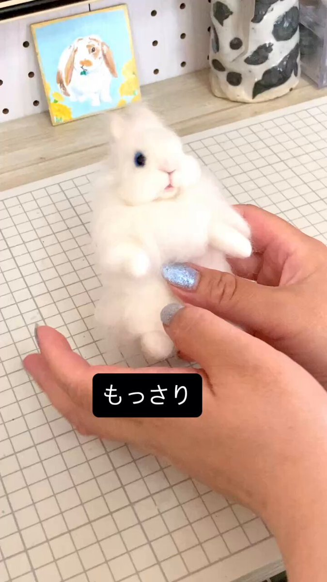 Bunny♡s'shop SEVEN's Bunny @nana (@sevensbunny) / X