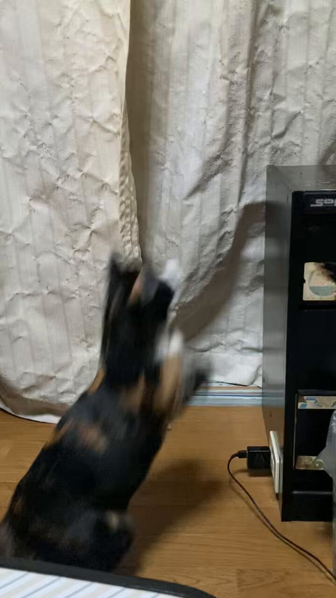 ぴーちゃんページ LEEベビーカー