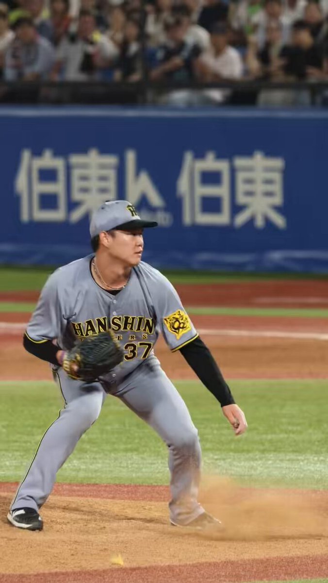 野球場大事典 🥒🥦kazumi.k38 on X: 