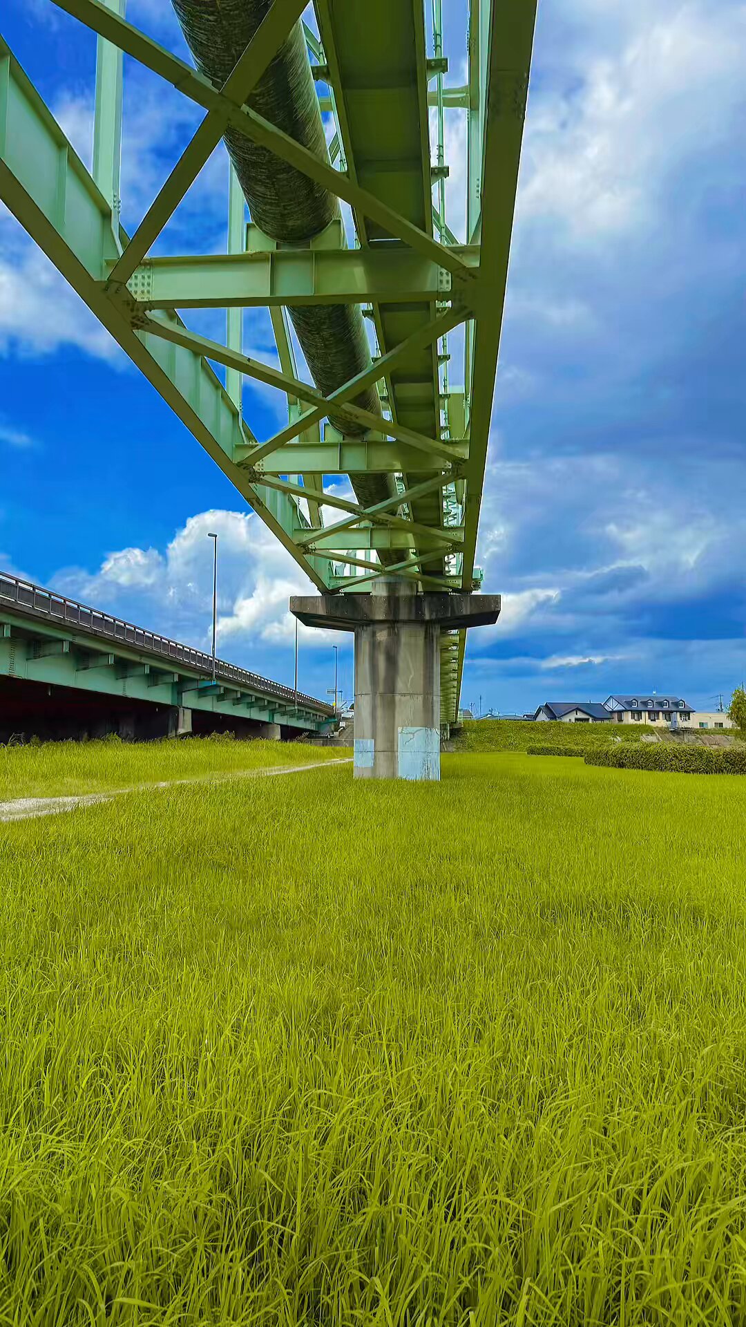 宮島裕介 全国の小学生がドローンで撮影した映像を世界に発信！ | V-farms