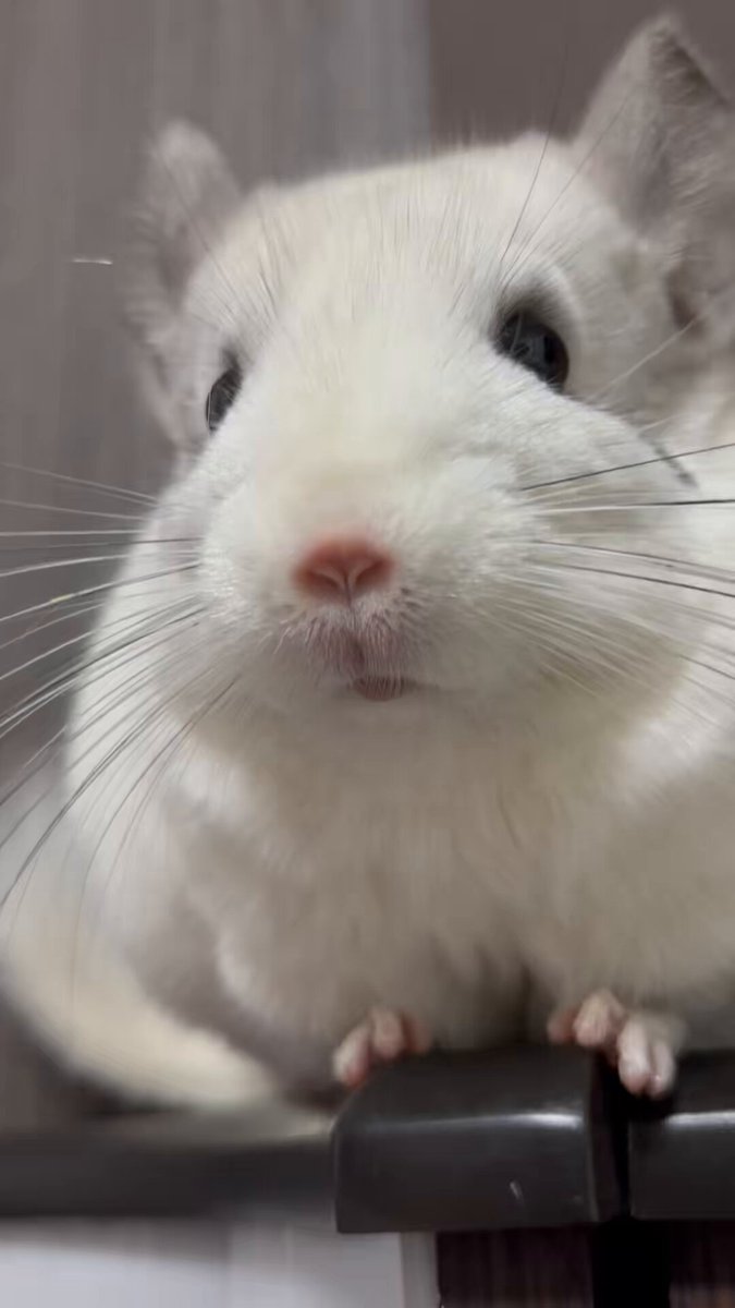 【ひろぽん】 H5cbA4cX_200x200.jpg