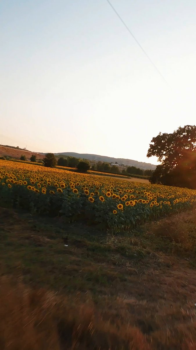 Sakarya’nın Renkleriyle Büyülü Bir Sabah