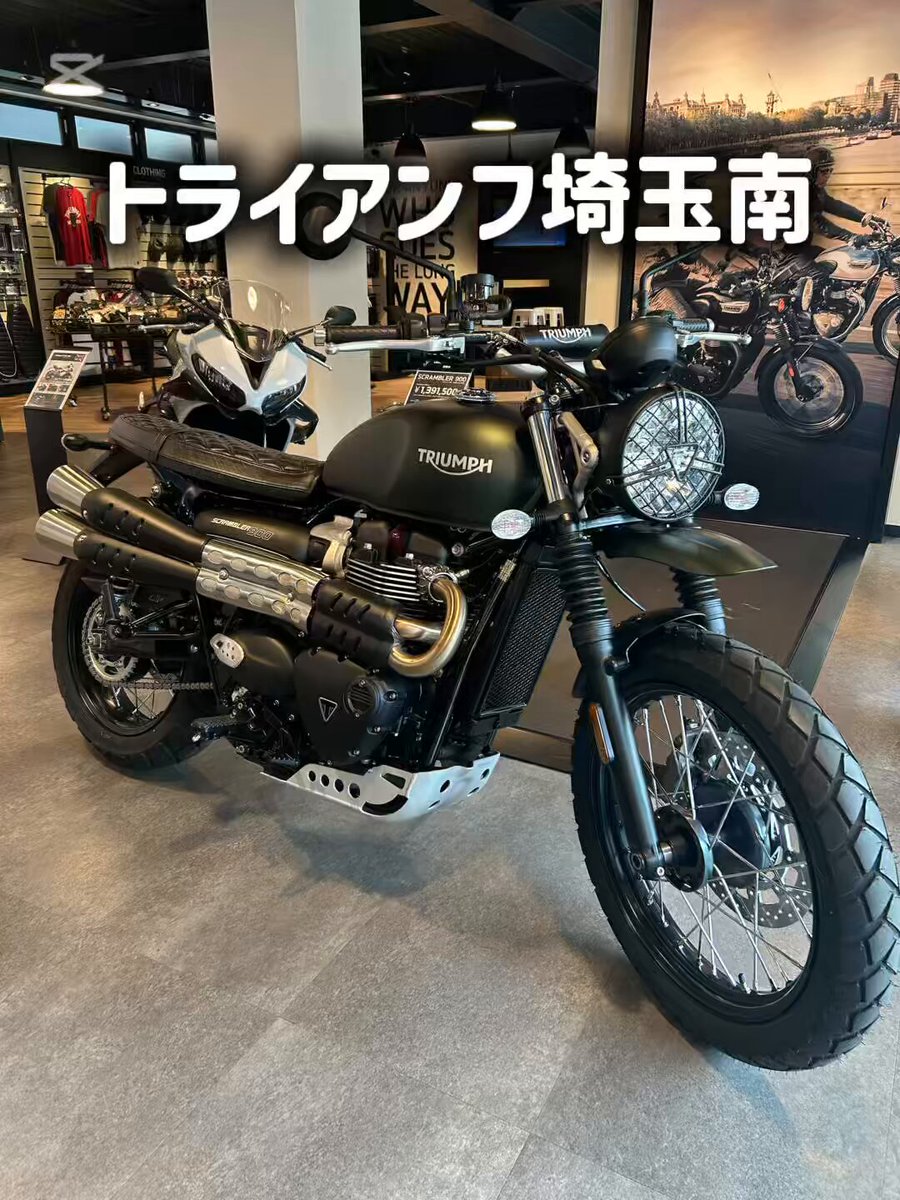 埼玉くん❶ デンキチ公式通販サイト-埼玉県下ナンバーワン家電量販店