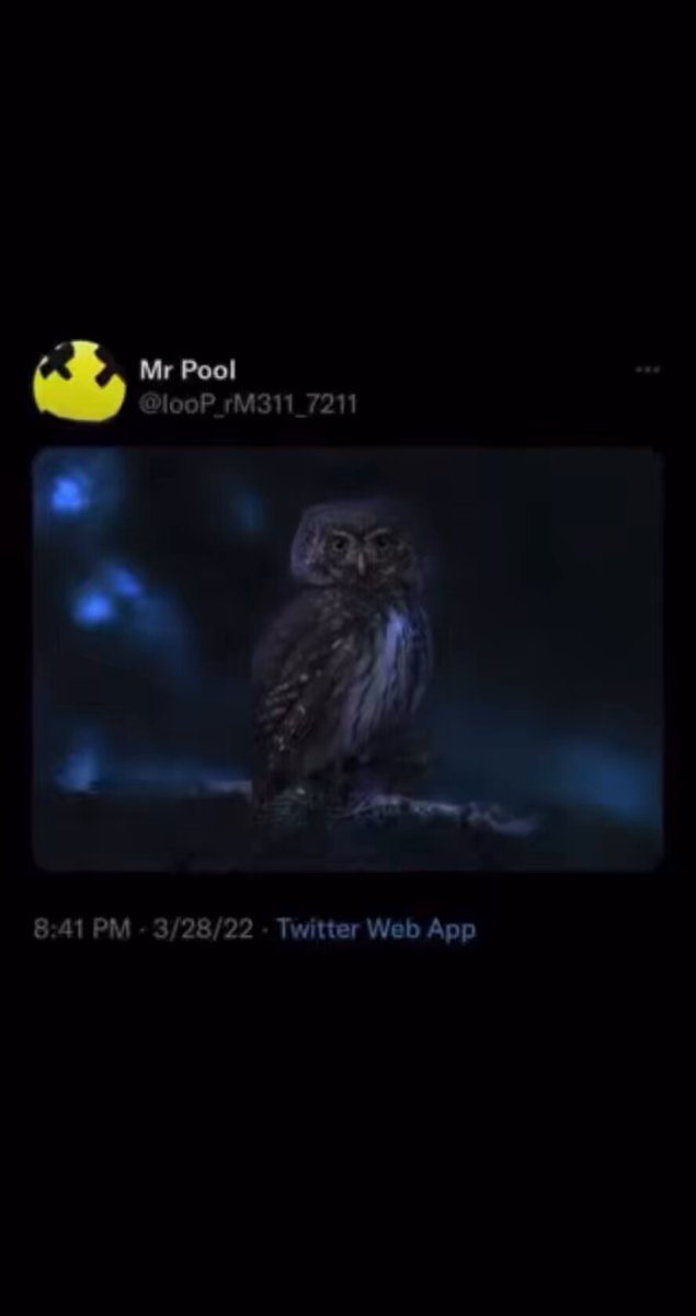 Tweet media three