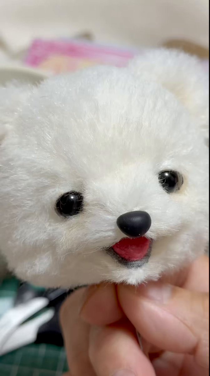 テディベア 可愛い白熊ちゃん 楽天市場】くまのぬいぐるみ ティディベア くま ぬいぐるみ