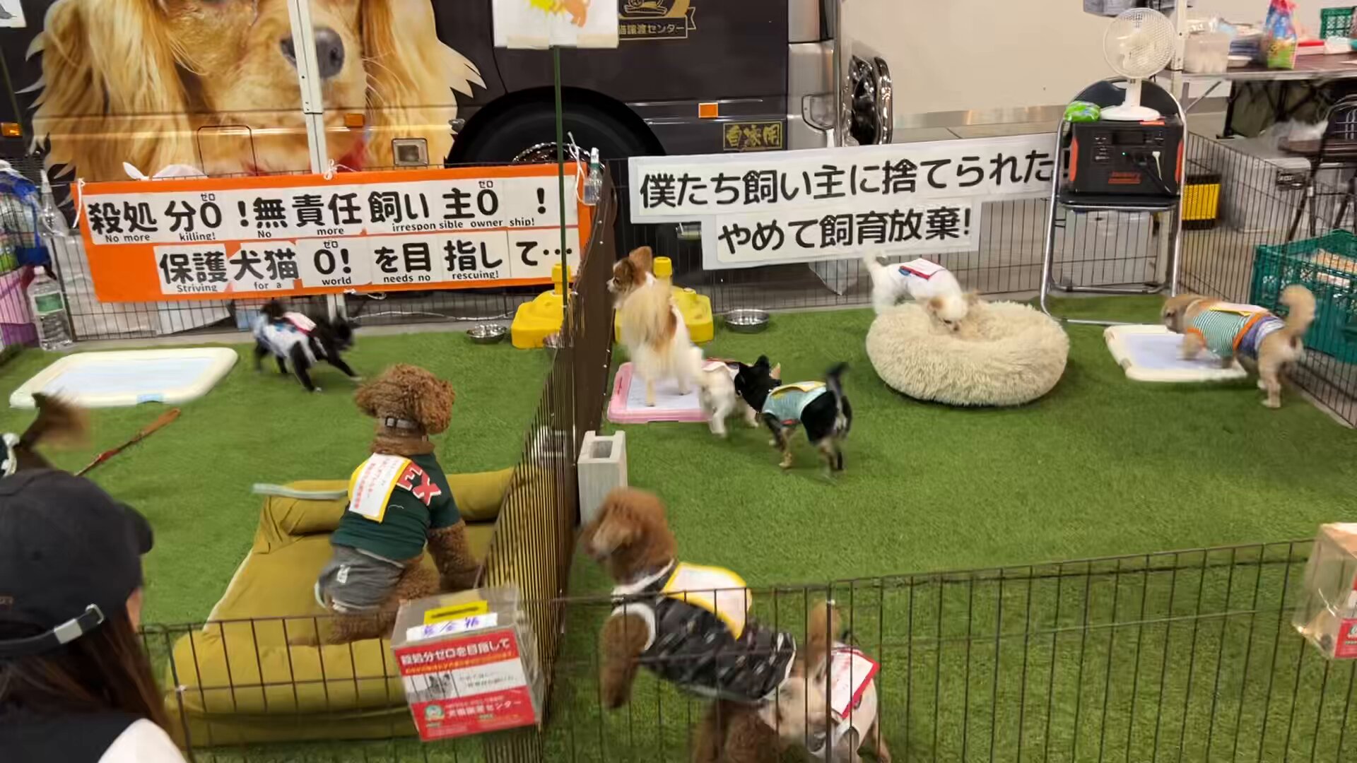 川井萌選手のサイン入り【尼崎】※変更点ご確認ください！ モモンガ (@jIgkX1cjkADx0yc) / X