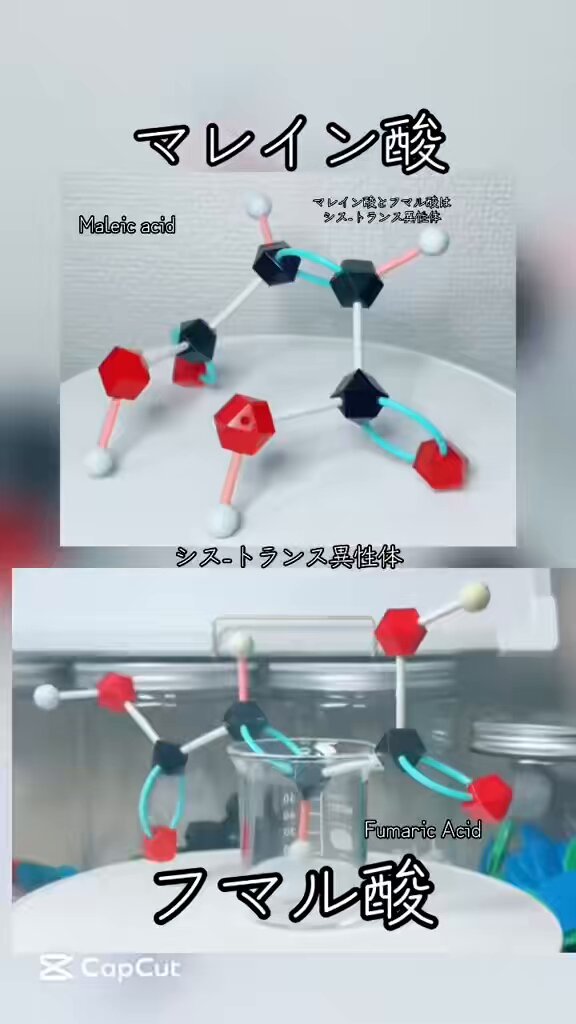 【製造終了】HGS molecular structure model Eセット 製造終了】HGS molecular structure model Eセット