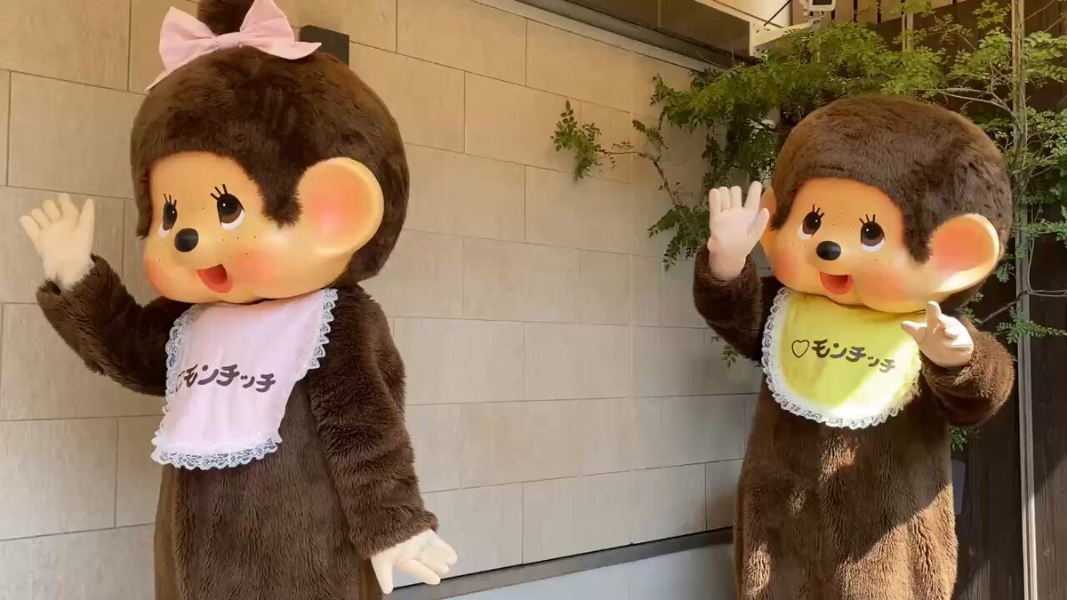 モンチッチ　NCC　限定品 モンチッチ【公式】 (@monchhichi126) / X