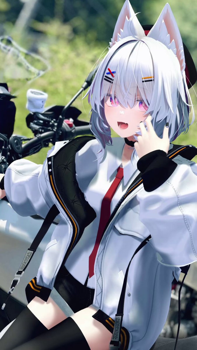モウシロ　3個おまとめ 61x-KlQQnHL._AC_SY200_QL15_.jpg