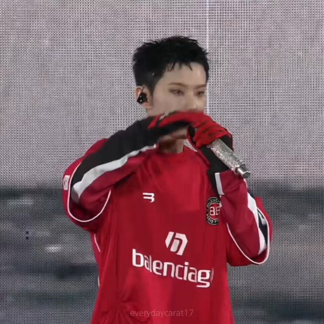 hoshi☆さま専用ページ SEVENTEEN ホシ