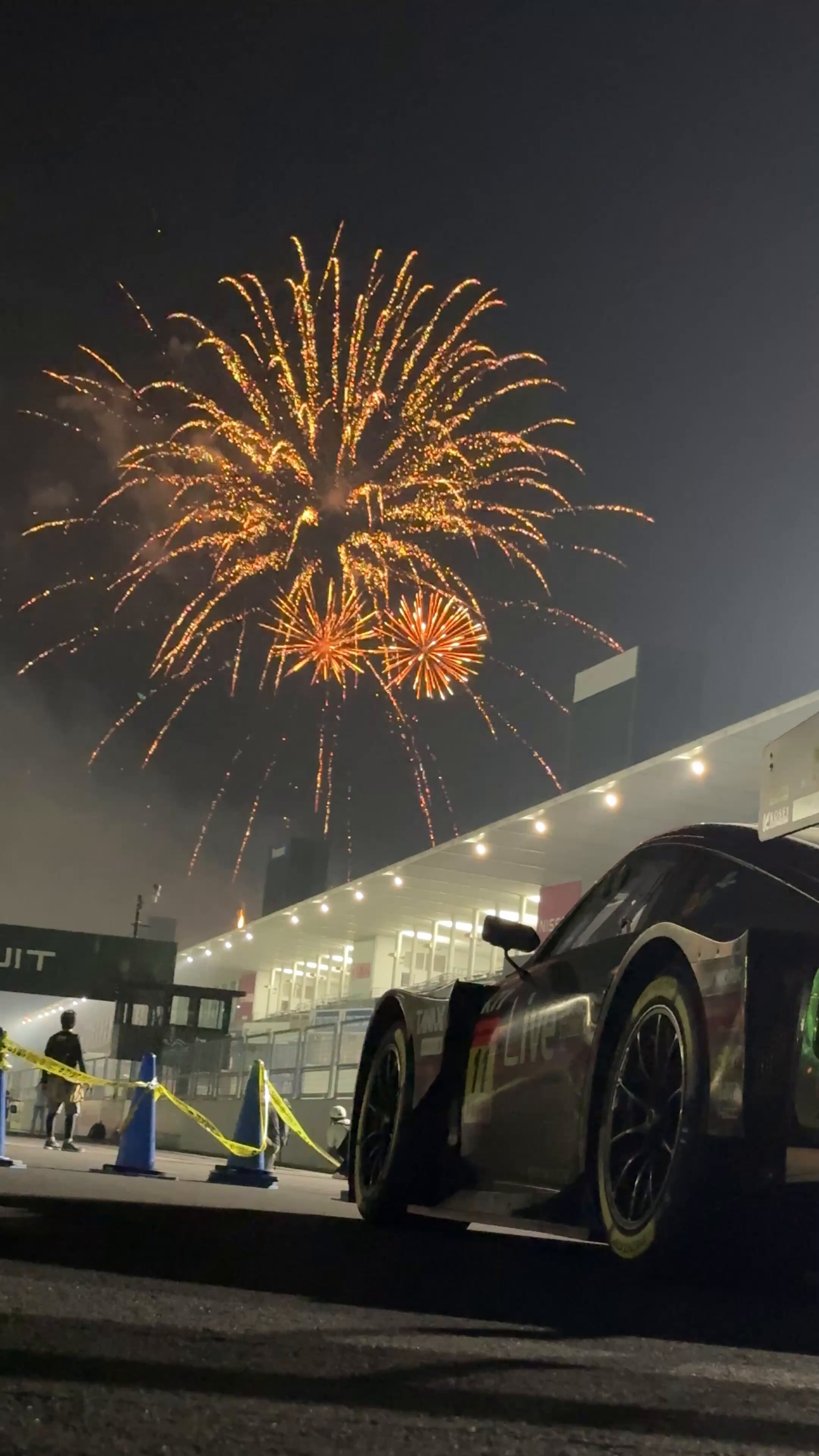 花火師さま専用★お値下げしました★新品★BRIDGESTONE ★ 産地直送】秋田緑花農園のゼラニウム ムーンライト バイオ（5寸