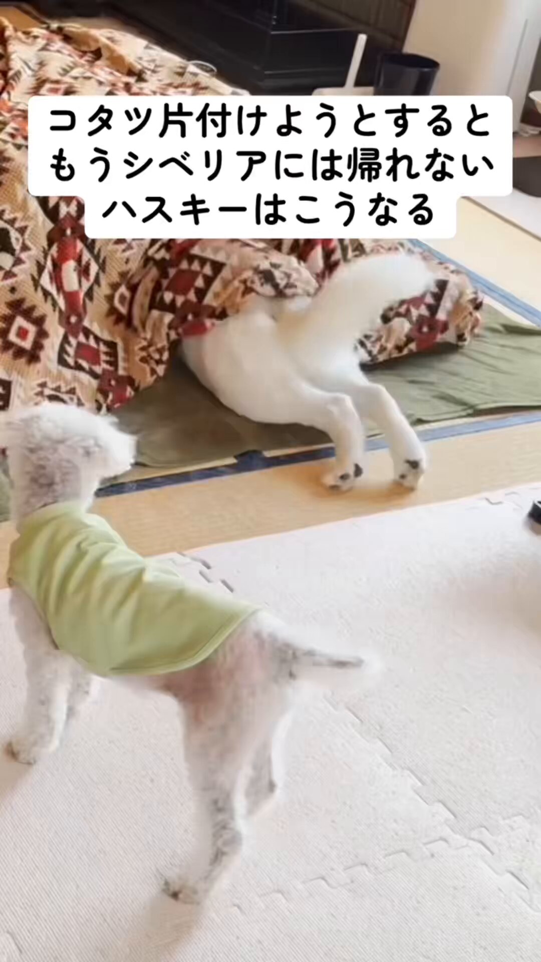 84g (@8844gg) / X