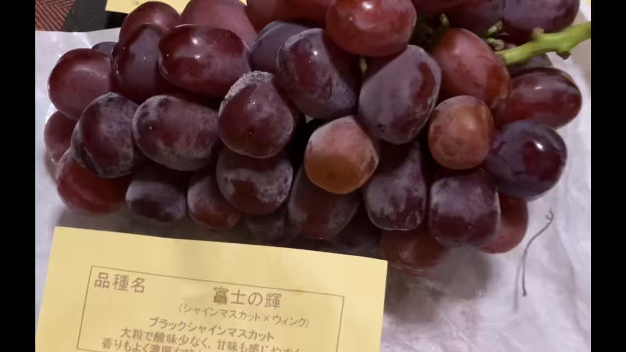 ぶどう＊ページ 葡萄の木 - Hledat / X
