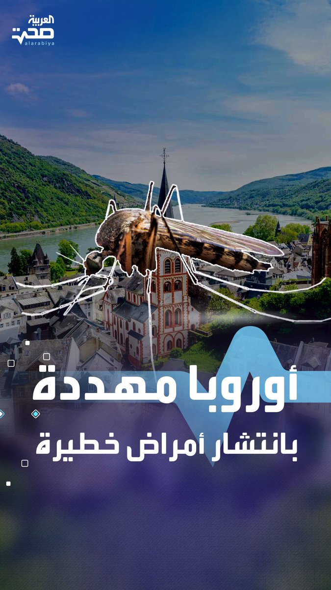 انتشار حمى الضنك يهدد المدن الأوروبية الكبرى قريبا _صحة #صحة 