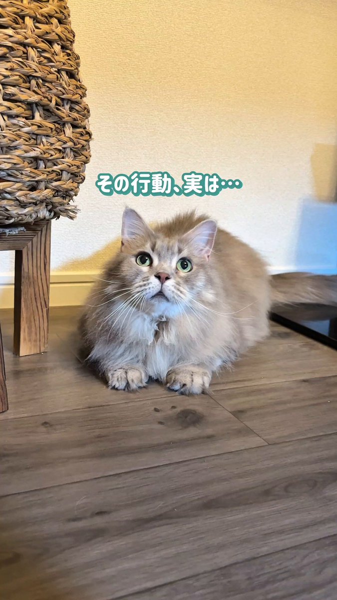 まもなく出品終了　ニトリ　ダイニングテーブル　引き取り限定 値下げしました【引渡or引取限定・江東区周辺】 ニトリ