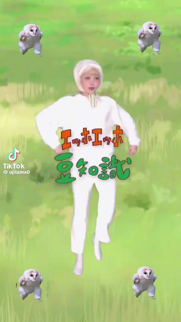 Naniwa様お積もりページ なにわのにわ