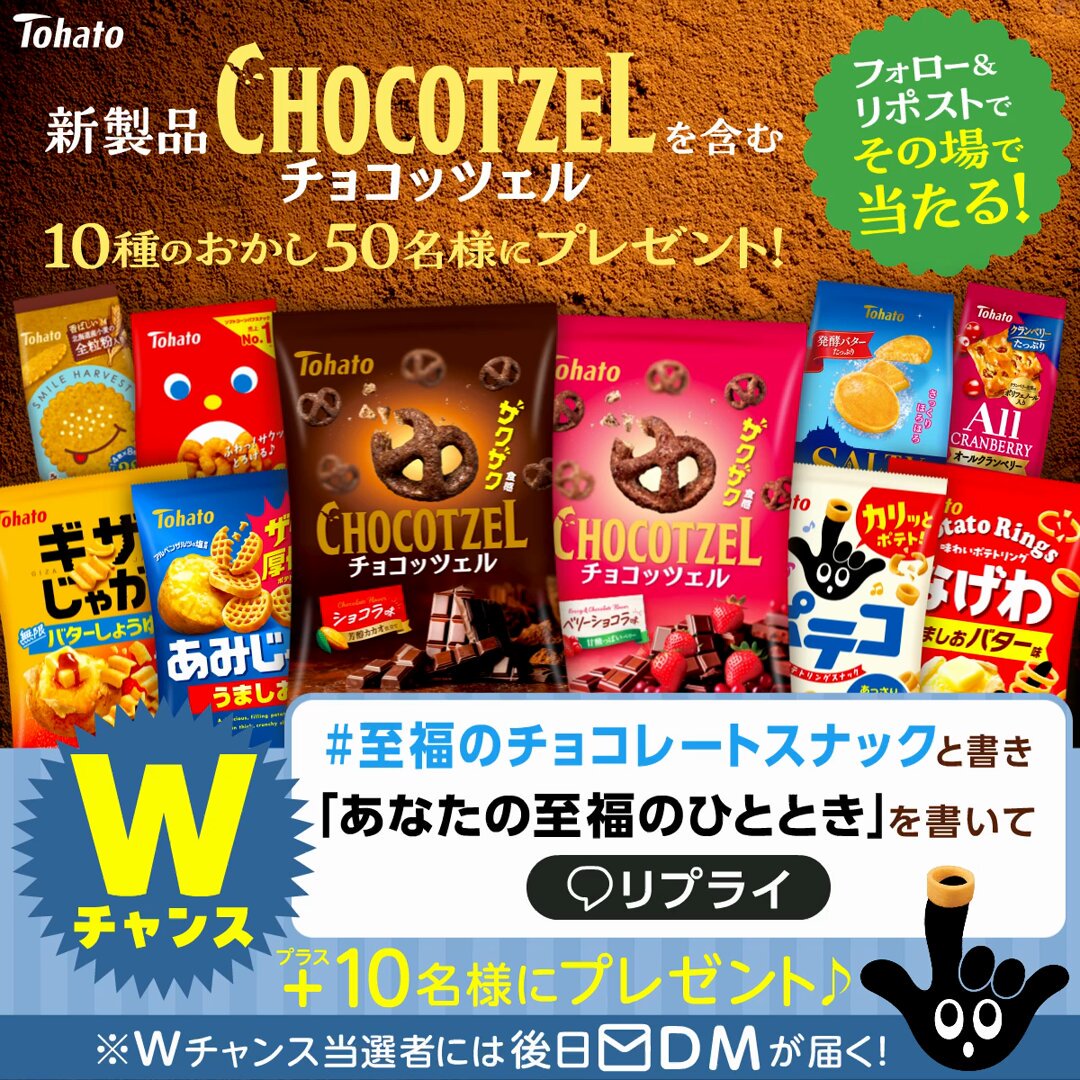 E3%83%81%E3%83%A7%E3%82%B3%E3%83%83%E3%83%84%E3%82%A7%E3%83