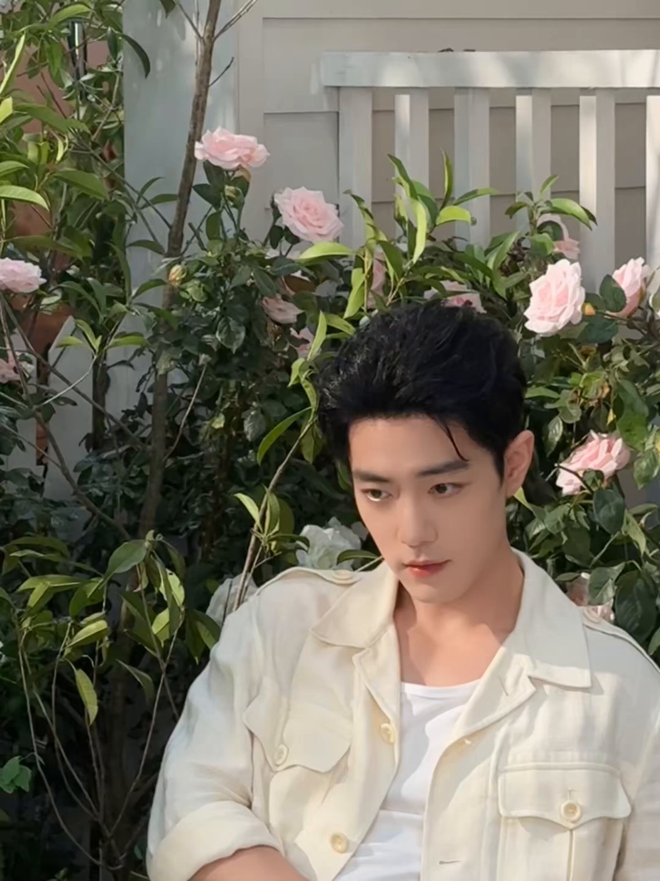 阮芳グエンフオンさん　専用　肖战アルバム　コメントあり Xiao Zhan Japan Fanclub (@xiaozhanjapan) / X