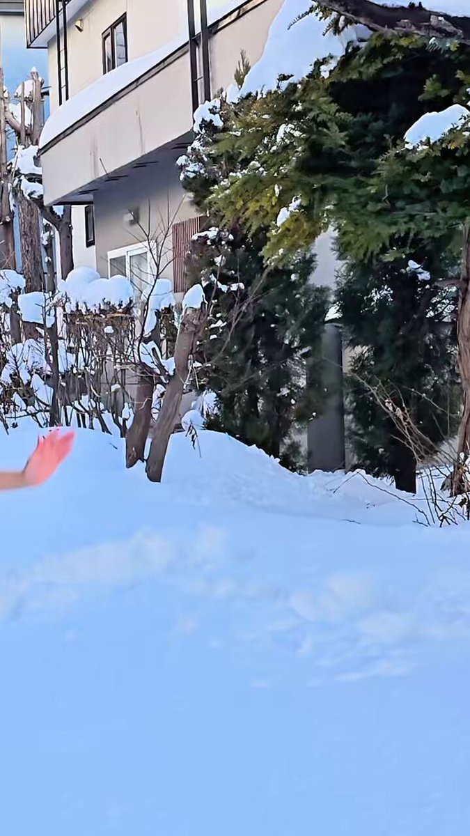 Video by @tinaxkitsune