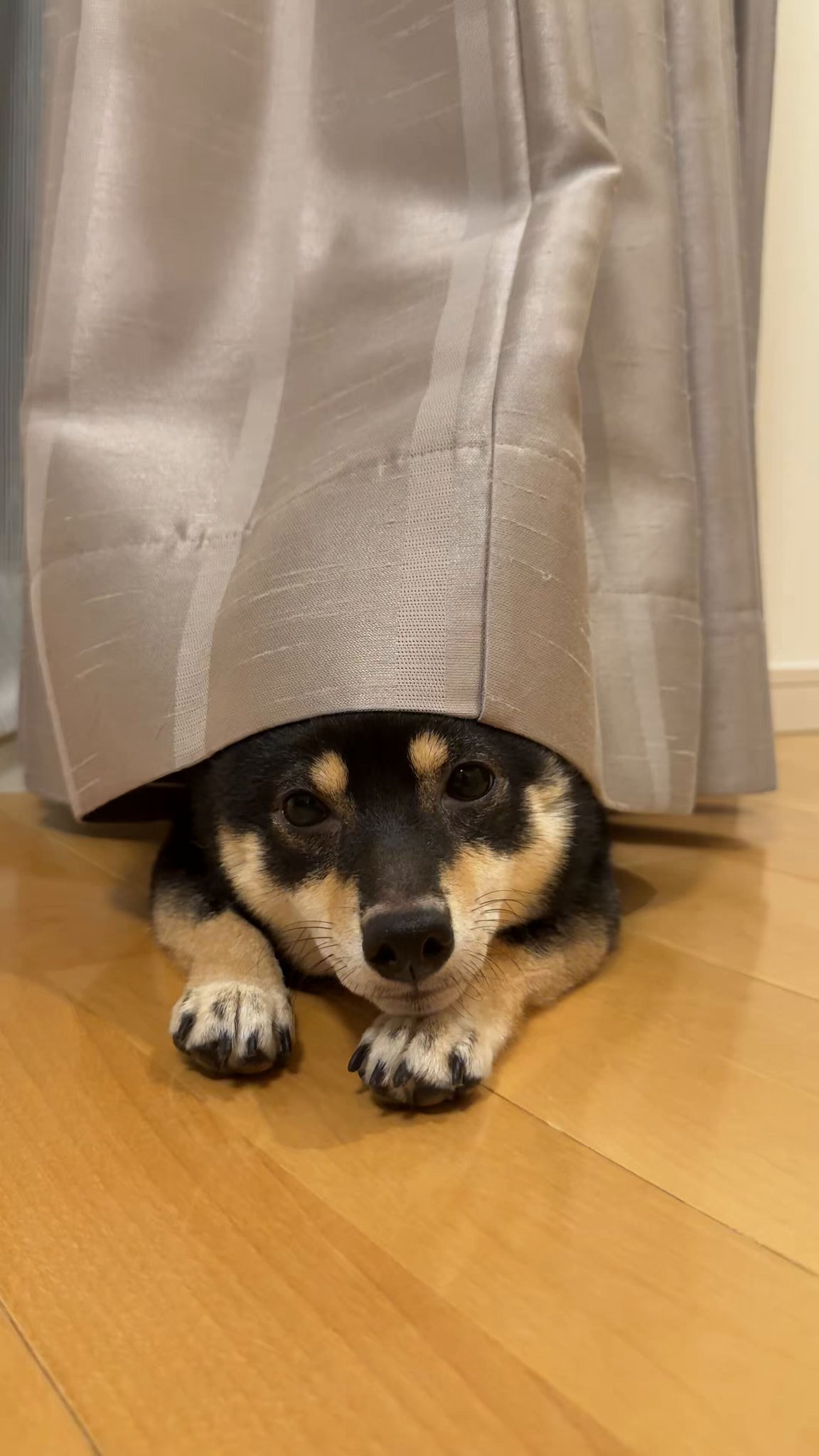 【世界にひとつ】一閑張り　赤　おめでたい　　カラフル　こま犬 2025年8月30日土曜日☀️。 『おかめとひょっとこ』 夕散歩
