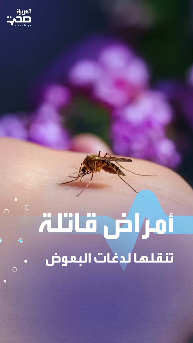 لدغات البعوض ليست مجرد حكة.. بل تهدد حياتك! صحة _صحة 