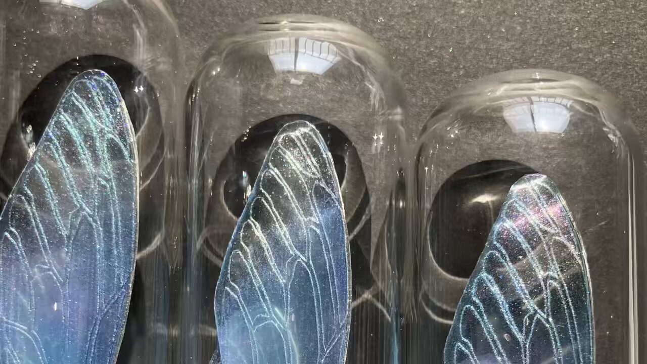 妖精と花の水彩画 ハンドメイド　専用出品 1回完結レッスン】柘植彩子水彩ビデオシリーズ1「透明水彩で緑
