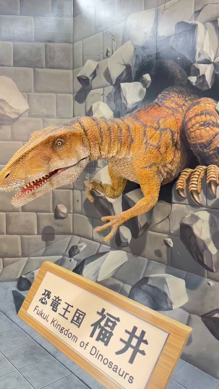 福井県立恐竜博物館 (@FukuiDinosaurs) / X