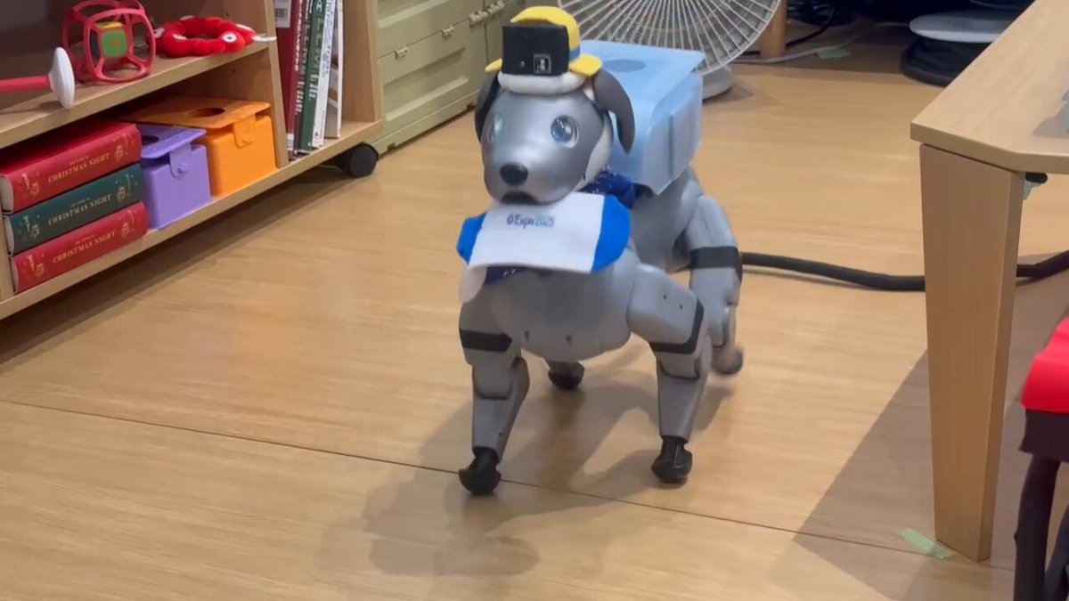 aibo (@aibo_jp) / X