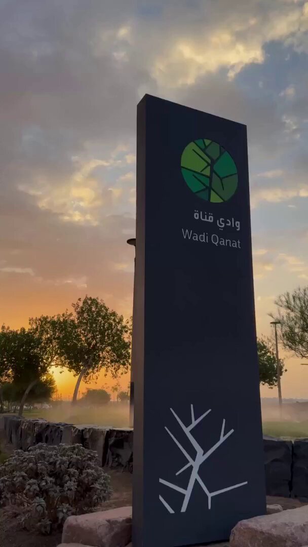 جريان وادي قناة التاريخي في المدينة المنورة. عبر : alfuraidi 