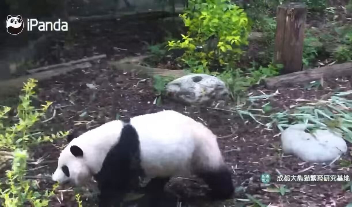 あちな* on X: 
