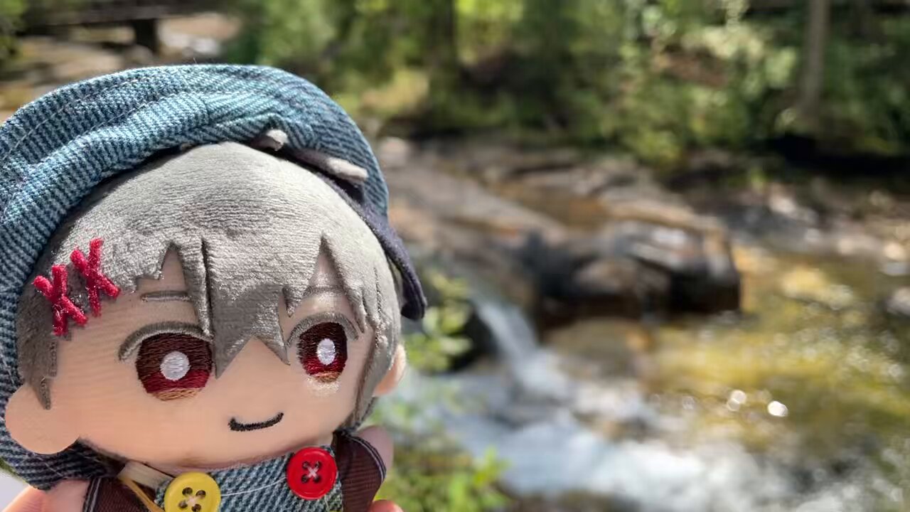 苔之助ページ 楽天市場】【期間限定 ポイント5倍 8/24(日)20:00〜8/27(水)09