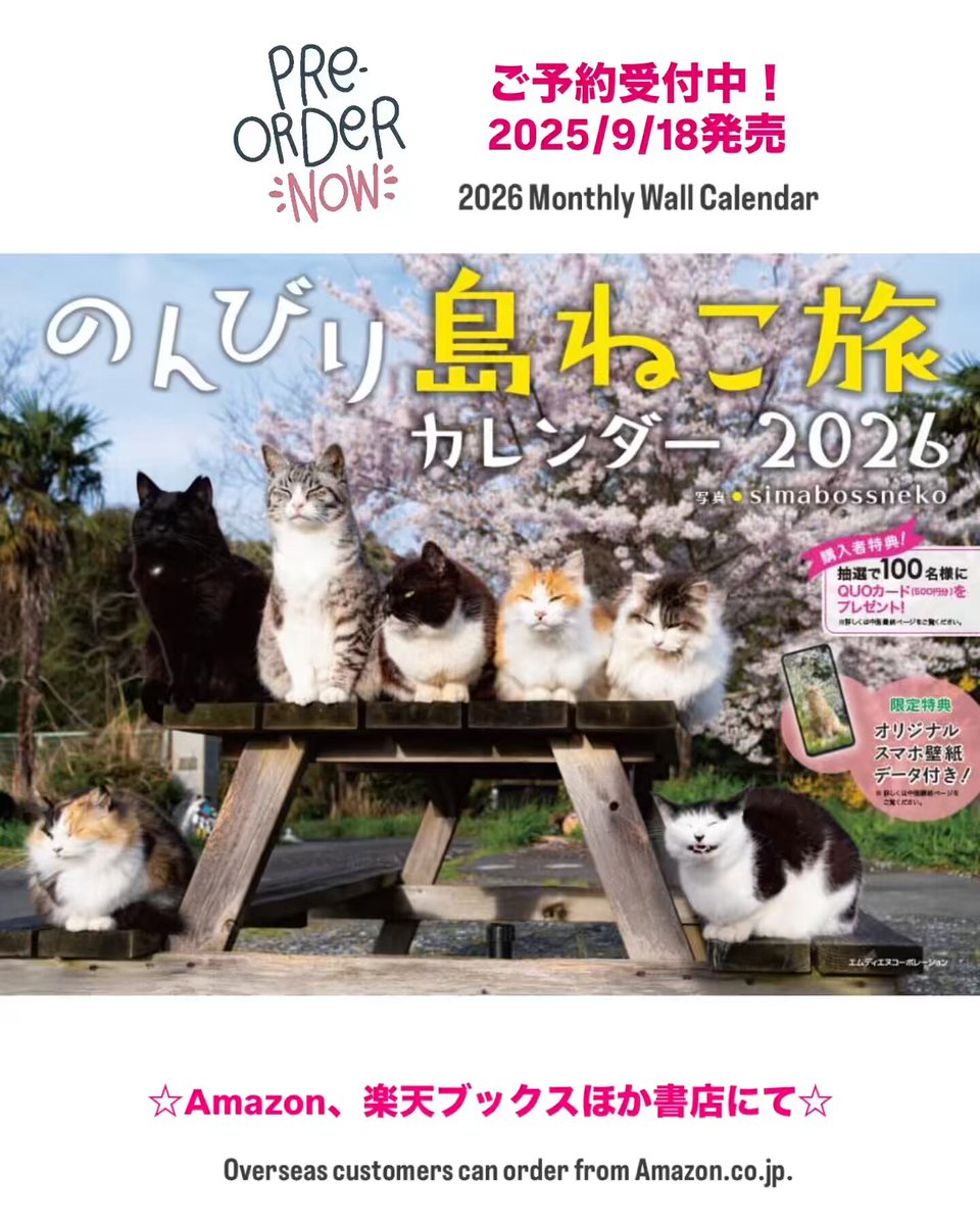 子猫の大行進 写真集 simabossneko 写真集「島にゃんこ」発売中 (@simabossneko) / X
