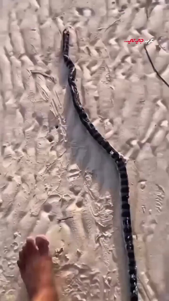 لا تركز كثير 