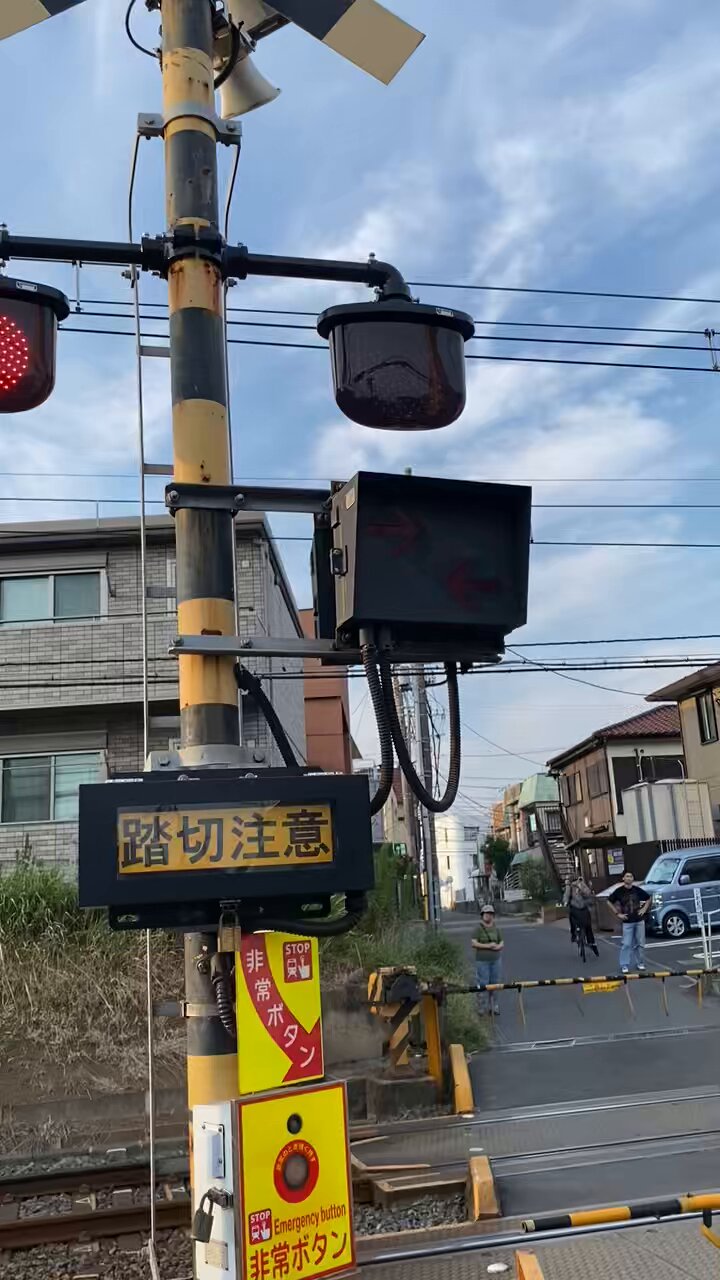 ともさん ピンクと水色の組み合わせ 大好き☺️💓 桃の花もきれいだったな