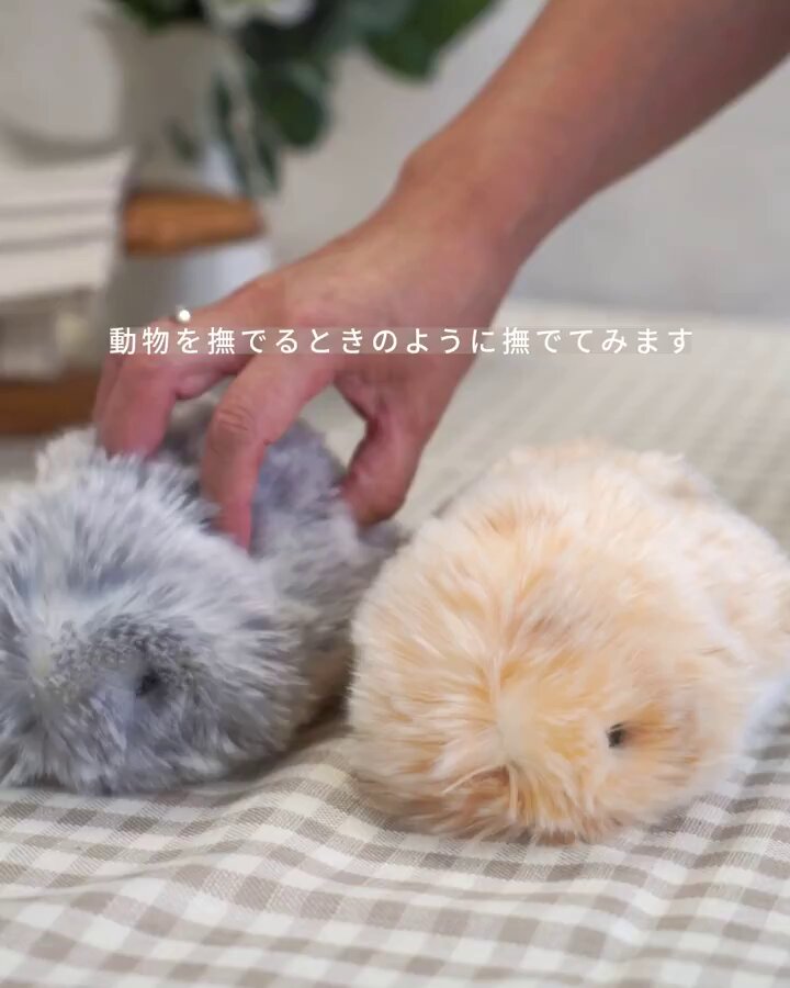 保証書付き　公式　moflin グレー　モフリン Moflin (モフリン) - 公式ストア | CASIO