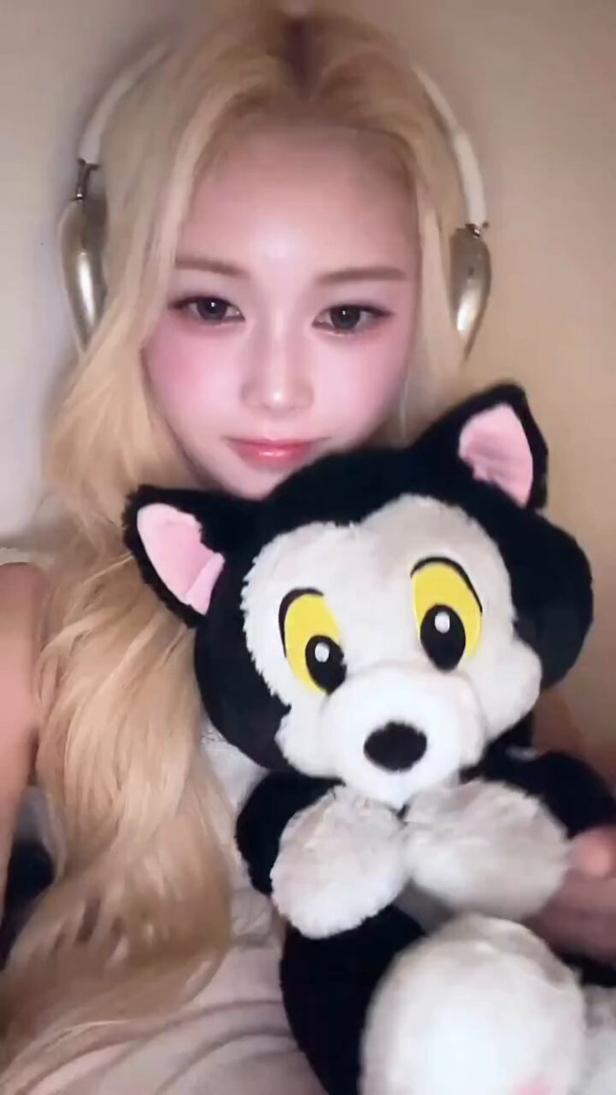 MAYU - Search / X