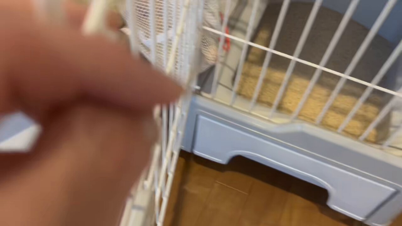 にゃん太ページ 96c4f8d9049d5ab5dc3cec8fbe270a
