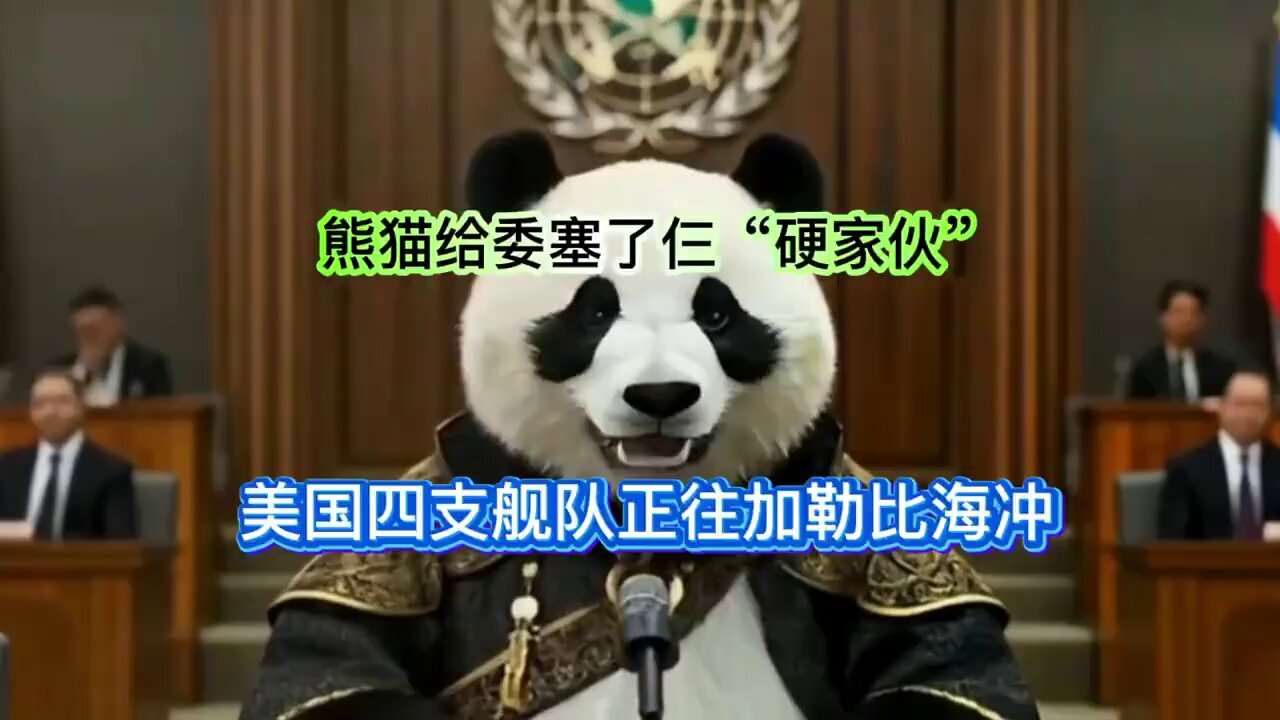 肖文on X: 