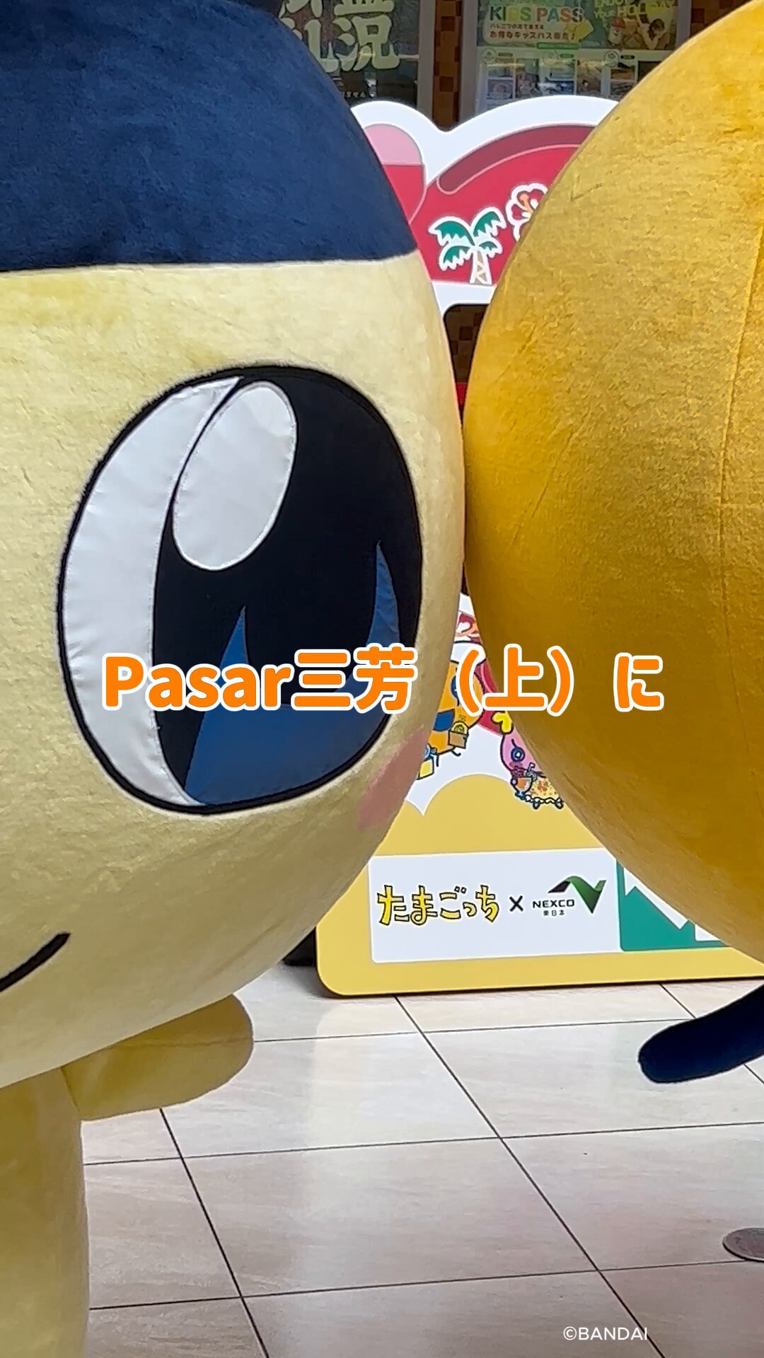 あっ！たま～る地・温泉スタンプラリー♪マイ扇子♪JR東日本♪非売品♪新品 たまごっちハイウェイスタンプラリー』開催！ SA・PAへよりみち