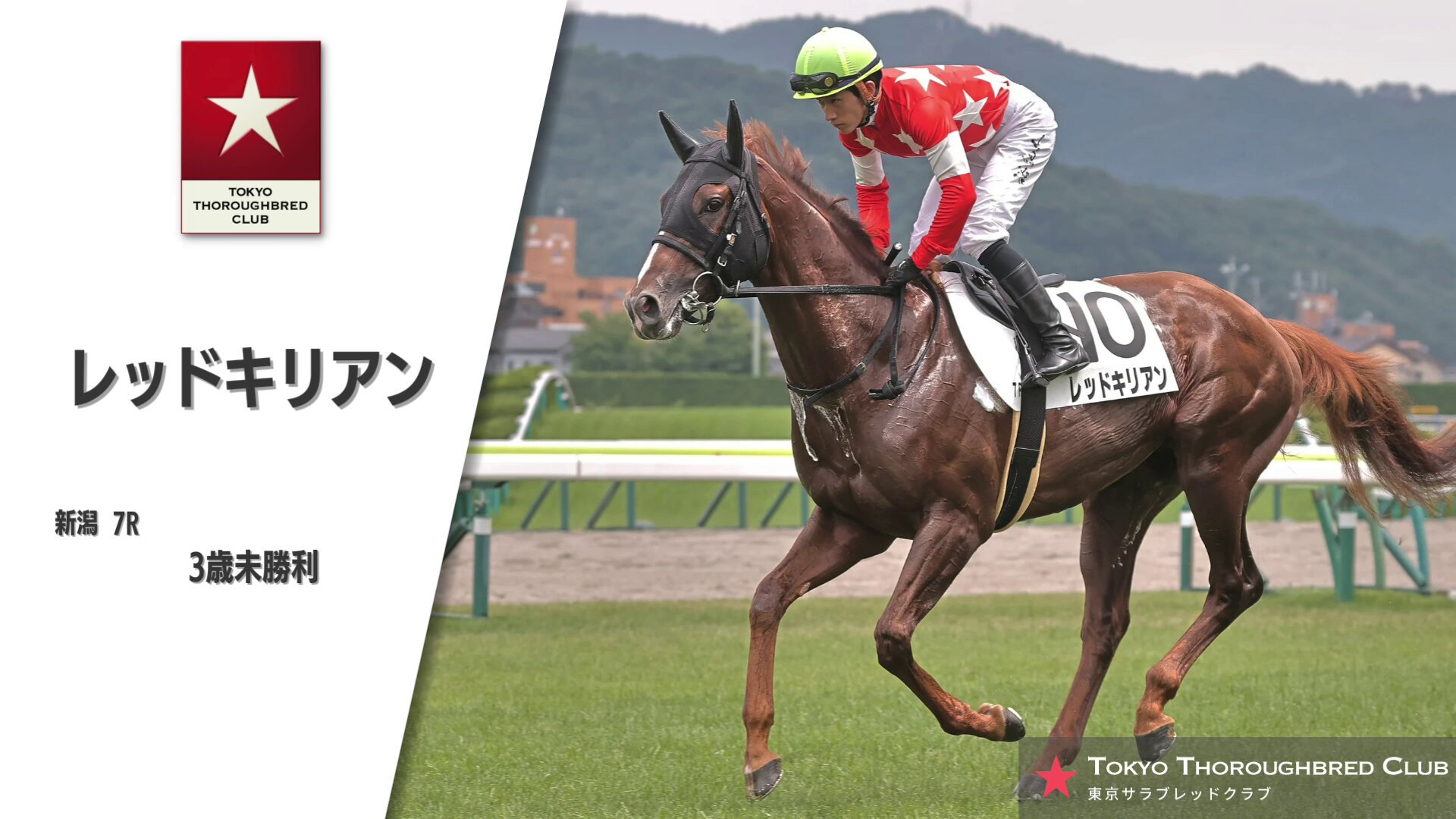 競馬 競馬学 西澤理論テキスト 天皇賞(秋)編 西澤広久著 定価5万円