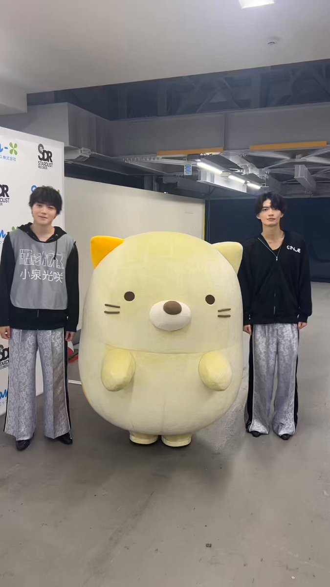 只今SALE中！8月8日午後11時59分迄 すみっコぐらし　24体ぬいぐるみ すみっコぐらしグッズ最新情報 (@sumikko_goods) / X