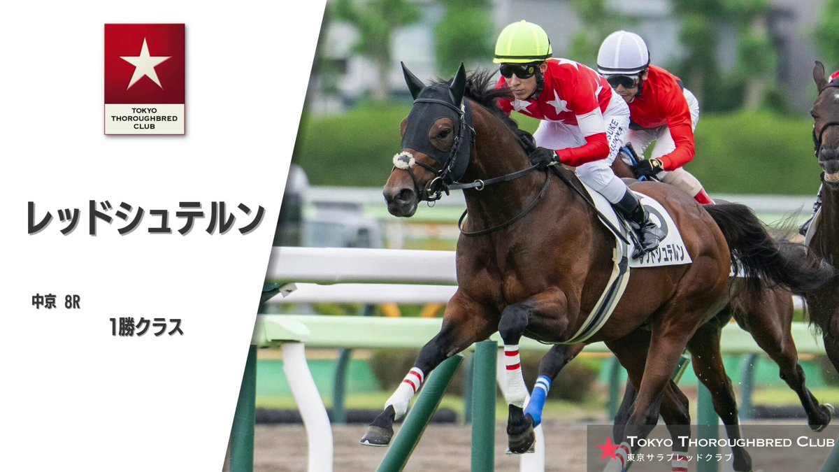 公式】東京サラブレッドクラブ on X: 