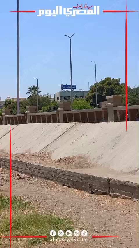 بليغ حمدي مهندس زراعي مشرد في شوارع المنيا يحكي مُعاناته: "ما عنديش معاش أعيش منه وشقتي راحت مني" 