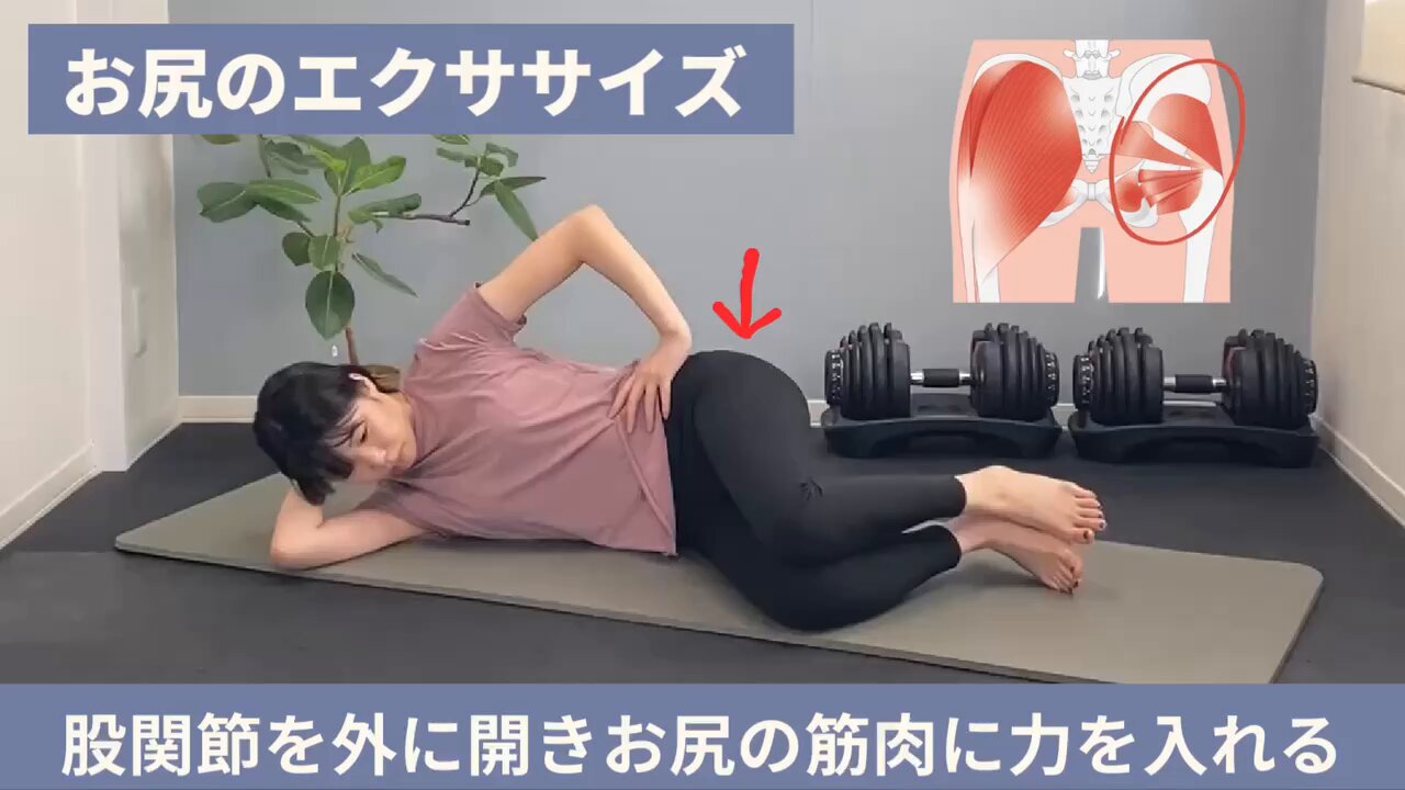 GETSXIS　股関節トレーナー GETAXIS（ゲットアクシス） 股関節トレーナー | フジデノロ株式会社