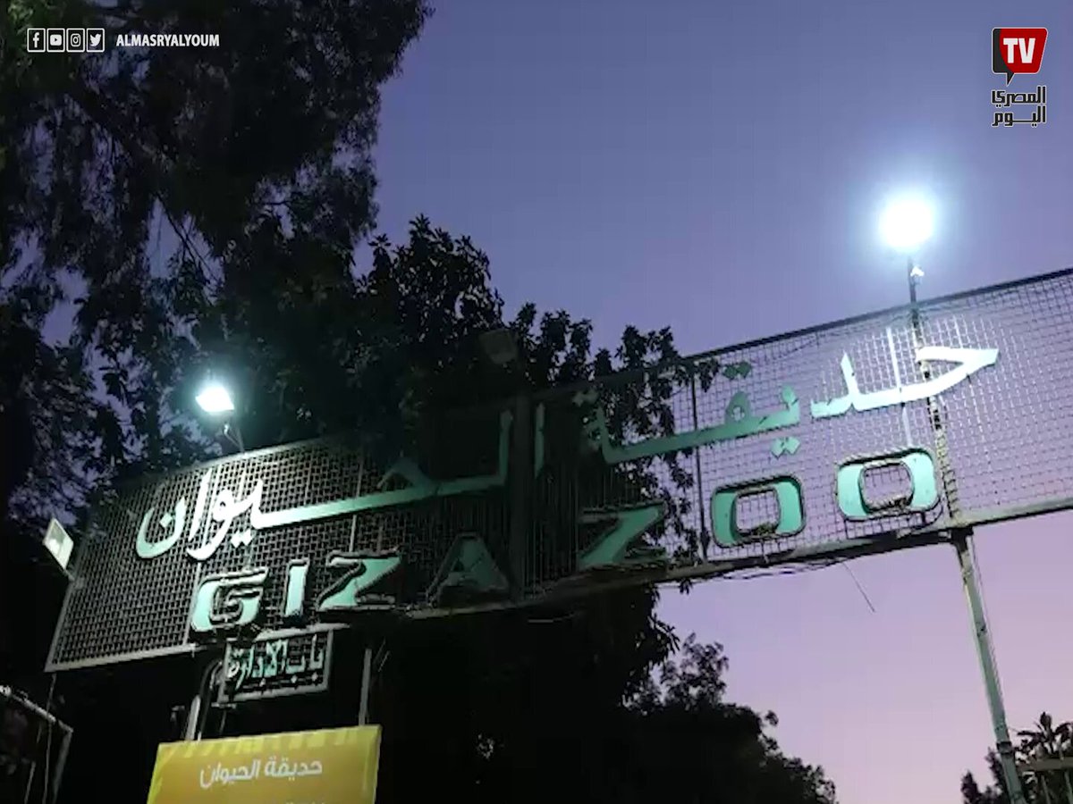 أول احتفالية ليلية في منطقة الجبلاية بحديقة الحيوان بحضور أمين عام الاتحاد الإفريقي لحدائق الحيوان 