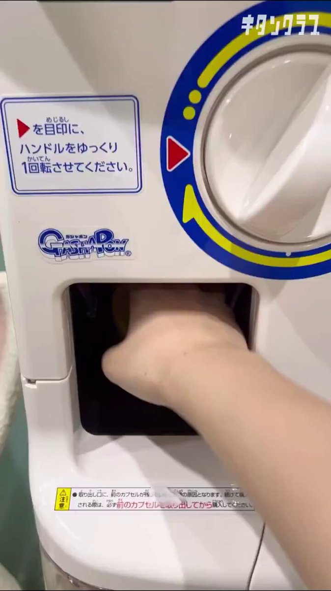 本日入荷‼️大人気❗️新品　ムン顔　オタ活他マスコット4個セット❣️ おおきな40cmぬいぐるみ Ave Mujica オブリビオニス