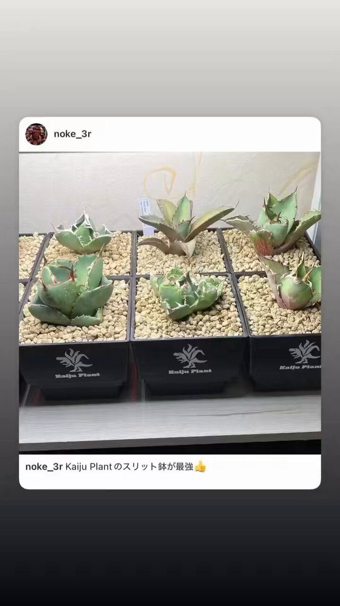 Kaiju_Plant 【怪獣工場】 (@kaiju_plant) / X